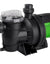 Load image into Gallery viewer, KAUFMANN 800W SWIMMING POOL PUMP
