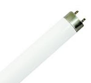 16Mm T5 Fluorescent Lamp 54W - Cool White - 1149Mm L